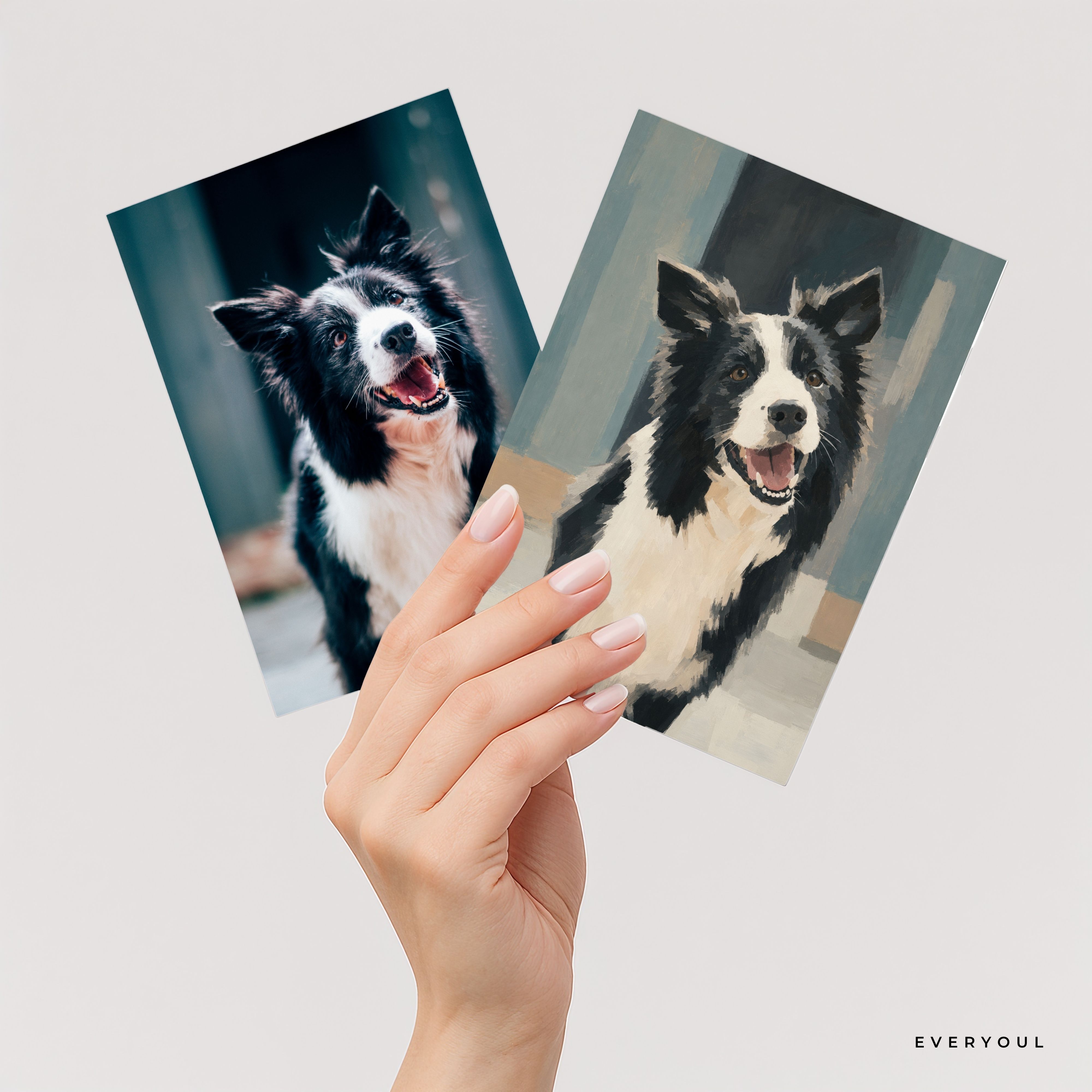Minimal portrait of Border collie
